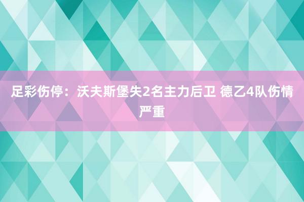 足彩伤停:沃夫斯堡失2名主力后卫 德乙4队伤情严重